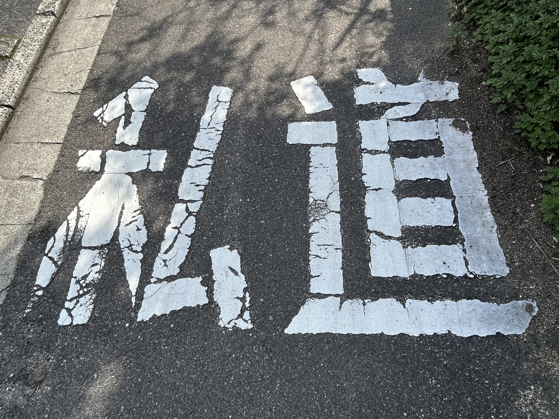 【私道のアスファルト舗装】費用負担やトラブルを防ぐ！プロが教える工事の進め方と2026年最新の助成金事情